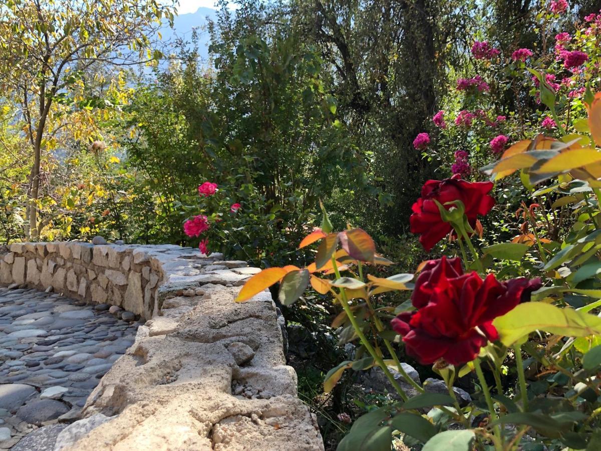 Casa De Montana Inmersa En Bosque Nativo San José de Maipo Eksteriør bilde