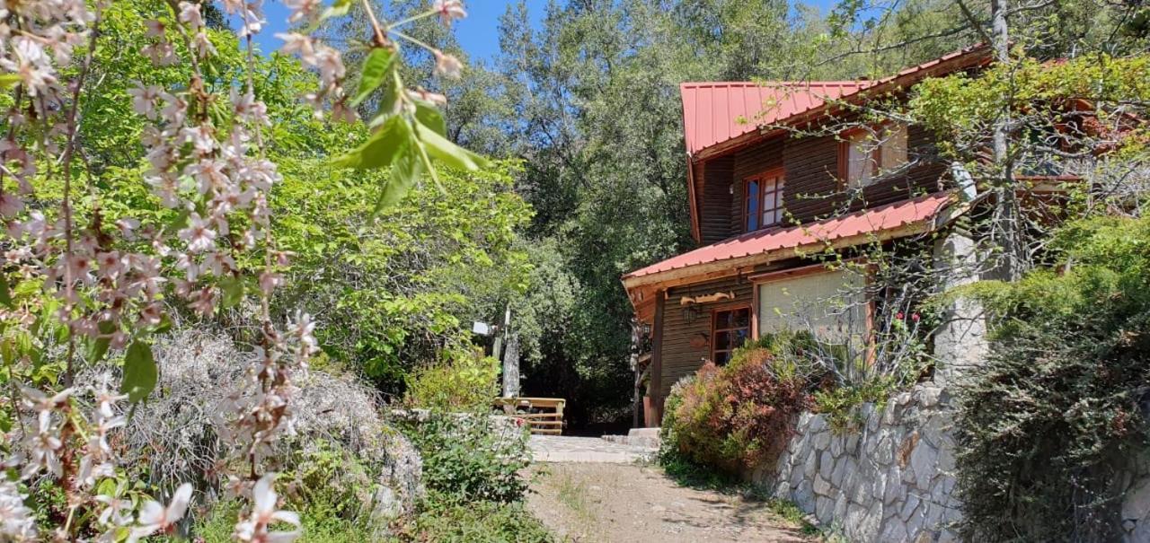 Casa De Montana Inmersa En Bosque Nativo San José de Maipo Eksteriør bilde